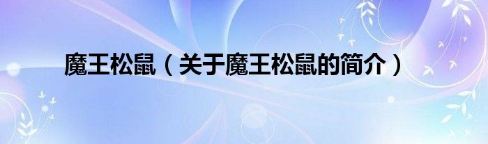 魔王松鼠（關(guān)于魔王松鼠的簡介）