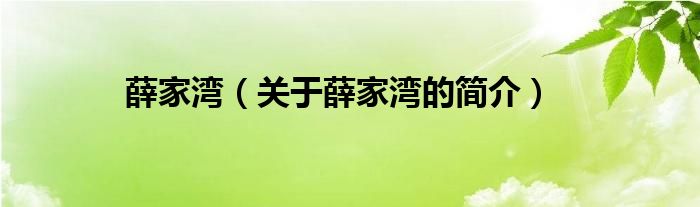 薛家灣（關(guān)于薛家灣的簡(jiǎn)介）