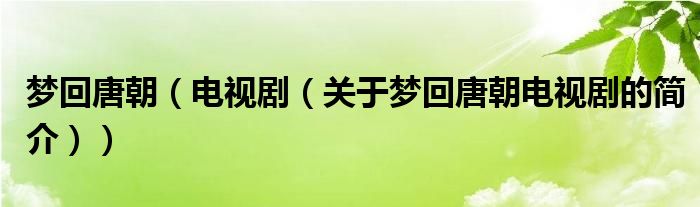 夢(mèng)回唐朝（電視?。P(guān)于夢(mèng)回唐朝電視劇的簡(jiǎn)介））