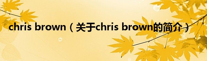 chris brown（關于chris brown的簡介）