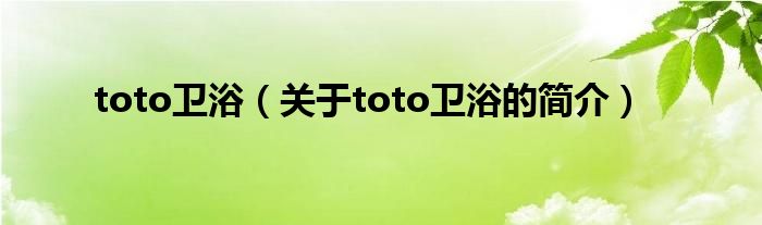 toto衛(wèi)?。P(guān)于toto衛(wèi)浴的簡(jiǎn)介）