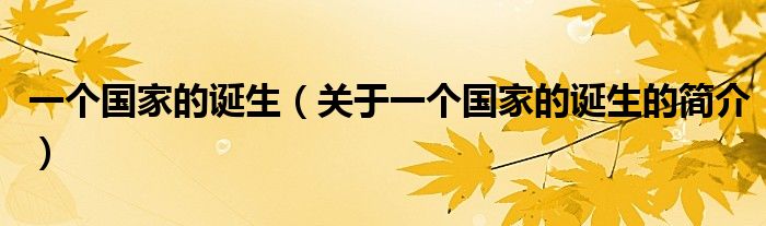 一個(gè)國家的誕生（關(guān)于一個(gè)國家的誕生的簡介）