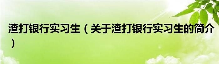 渣打銀行實習(xí)生（關(guān)于渣打銀行實習(xí)生的簡介）