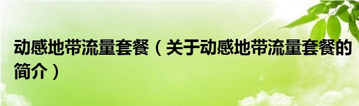 動感地帶流量套餐（關于動感地帶流量套餐的簡介）