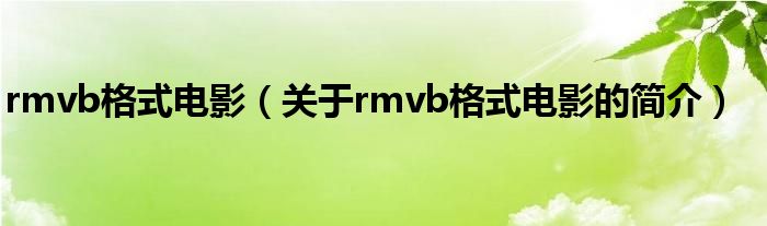 rmvb格式電影（關于rmvb格式電影的簡介）