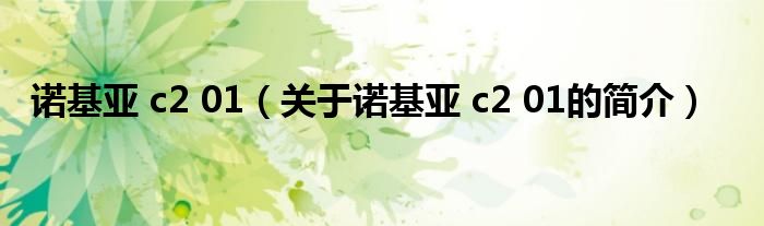 諾基亞 c2 01（關(guān)于諾基亞 c2 01的簡(jiǎn)介）