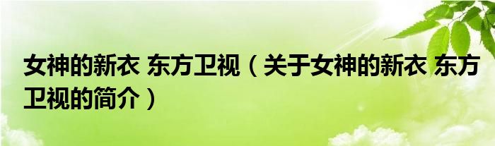 女神的新衣 東方衛(wèi)視（關于女神的新衣 東方衛(wèi)視的簡介）