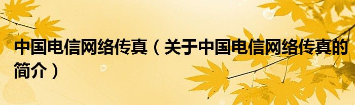 中國電信網(wǎng)絡傳真（關于中國電信網(wǎng)絡傳真的簡介）