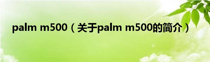 palm m500（關(guān)于palm m500的簡(jiǎn)介）