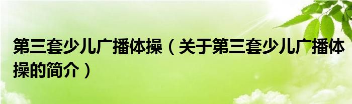 第三套少兒廣播體操（關(guān)于第三套少兒廣播體操的簡介）