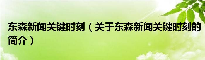 東森新聞關鍵時刻（關于東森新聞關鍵時刻的簡介）