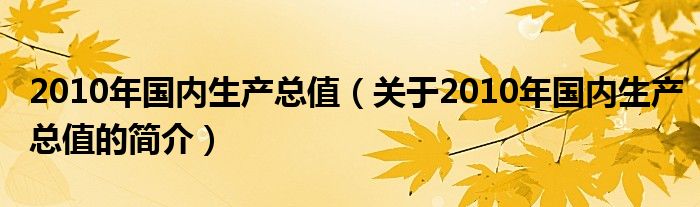 2010年國(guó)內(nèi)生產(chǎn)總值（關(guān)于2010年國(guó)內(nèi)生產(chǎn)總值的簡(jiǎn)介）