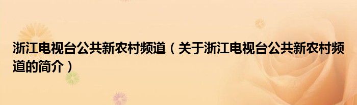 浙江電視臺公共新農(nóng)村頻道（關(guān)于浙江電視臺公共新農(nóng)村頻道的簡介）