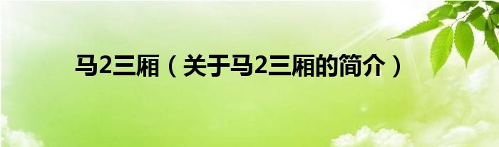 馬2三廂（關(guān)于馬2三廂的簡介）