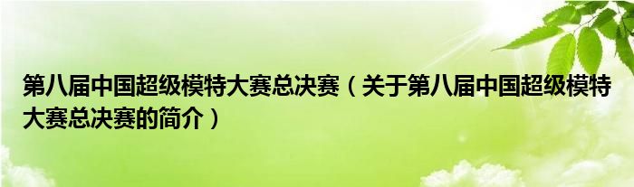 第八屆中國(guó)超級(jí)模特大賽總決賽（關(guān)于第八屆中國(guó)超級(jí)模特大賽總決賽的簡(jiǎn)介）