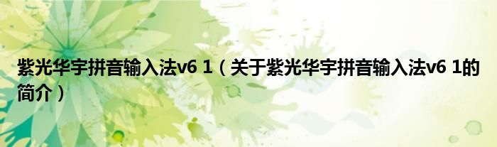 紫光華宇拼音輸入法v6 1（關于紫光華宇拼音輸入法v6 1的簡介）