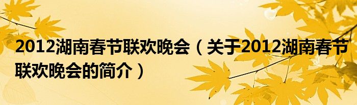 2012湖南春節(jié)聯(lián)歡晚會(huì)（關(guān)于2012湖南春節(jié)聯(lián)歡晚會(huì)的簡(jiǎn)介）