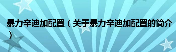 暴力辛迪加配置（關(guān)于暴力辛迪加配置的簡介）