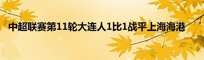 中超聯(lián)賽第11輪大連人1比1戰(zhàn)平上海海港