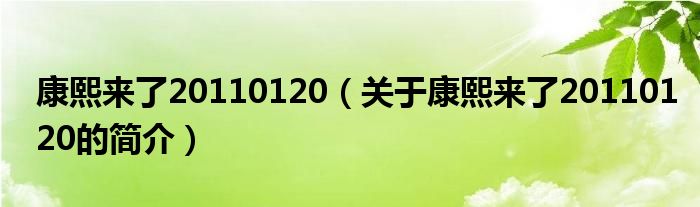 康熙來了20110120（關(guān)于康熙來了20110120的簡介）