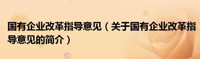 國有企業(yè)改革指導(dǎo)意見（關(guān)于國有企業(yè)改革指導(dǎo)意見的簡介）