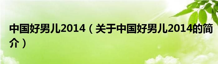 中國(guó)好男兒2014（關(guān)于中國(guó)好男兒2014的簡(jiǎn)介）