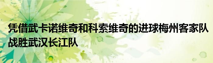 憑借武卡諾維奇和科索維奇的進球梅州客家隊戰(zhàn)勝武漢長江隊