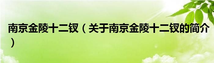 南京金陵十二釵（關(guān)于南京金陵十二釵的簡(jiǎn)介）