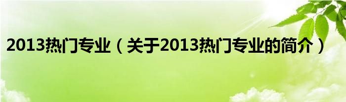 2013熱門專業(yè)（關(guān)于2013熱門專業(yè)的簡介）