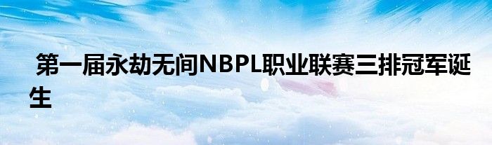  第一屆永劫無間NBPL職業(yè)聯賽三排冠軍誕生