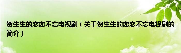 賀生生的戀戀不忘電視?。P(guān)于賀生生的戀戀不忘電視劇的簡介）