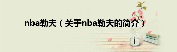 nba勒夫（關于nba勒夫的簡介）