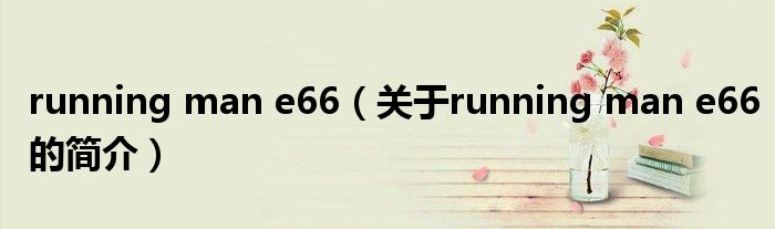 running man e66（關于running man e66的簡介）