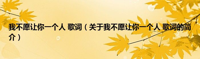 我不愿讓你一個(gè)人 歌詞（關(guān)于我不愿讓你一個(gè)人 歌詞的簡(jiǎn)介）