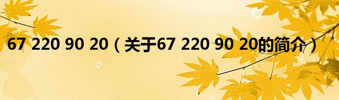 67 220 90 20（關(guān)于67 220 90 20的簡(jiǎn)介）