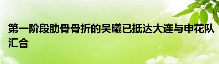 第一階段肋骨骨折的吳曦已抵達大連與申花隊匯合