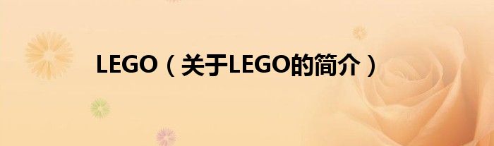 LEGO（關(guān)于LEGO的簡(jiǎn)介）