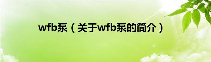 wfb泵（關(guān)于wfb泵的簡介）