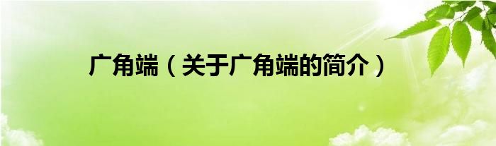 廣角端（關(guān)于廣角端的簡(jiǎn)介）