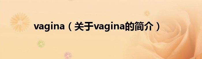 vagina（關于vagina的簡介）