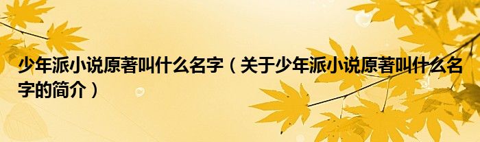 少年派小說(shuō)原著叫什么名字（關(guān)于少年派小說(shuō)原著叫什么名字的簡(jiǎn)介）