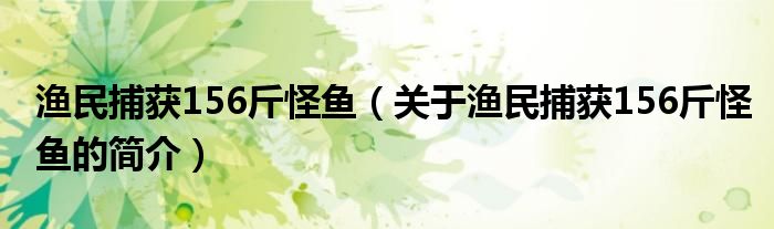 漁民捕獲156斤怪魚（關(guān)于漁民捕獲156斤怪魚的簡介）