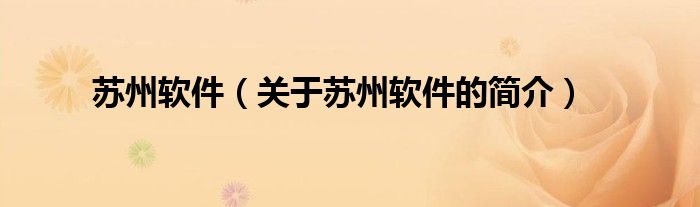 蘇州軟件（關(guān)于蘇州軟件的簡(jiǎn)介）