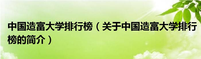 中國造富大學(xué)排行榜（關(guān)于中國造富大學(xué)排行榜的簡介）