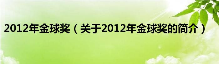 2012年金球獎(jiǎng)（關(guān)于2012年金球獎(jiǎng)的簡(jiǎn)介）