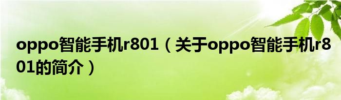 oppo智能手機(jī)r801（關(guān)于oppo智能手機(jī)r801的簡(jiǎn)介）