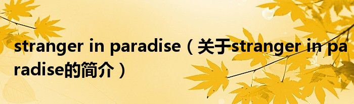 stranger in paradise（關(guān)于stranger in paradise的簡(jiǎn)介）