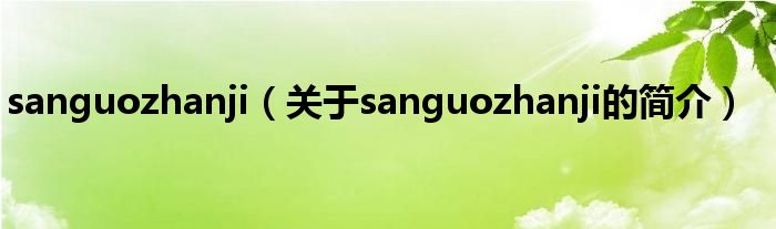 sanguozhanji（關(guān)于sanguozhanji的簡介）