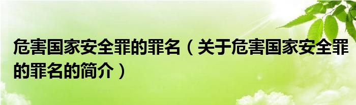 危害國(guó)家安全罪的罪名（關(guān)于危害國(guó)家安全罪的罪名的簡(jiǎn)介）