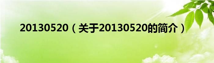 20130520（關(guān)于20130520的簡介）